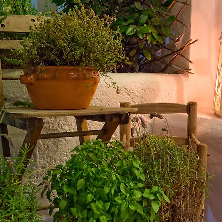 酒店 娜塔莉亚酒店 依克希亚